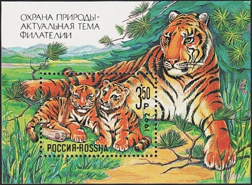 Россия 1992 год . Охрана природы . Тигры , блок . Каталог 2,0 €.